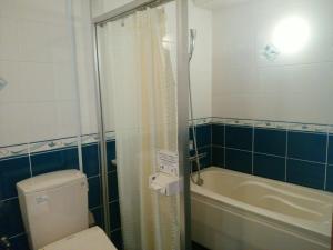 a bathroom with a shower and a toilet and a tub at Seaside Hotel The Beach in Chatan