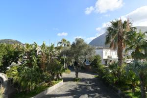 a street with palm trees and a building at B&B Villa Regine camera con terrazza a Forio in Forio d'Ischia +15 photos