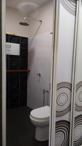 a small bathroom with a toilet and a shower at Naura Roomstay in Kuala Tahan