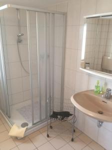 uma casa de banho com um chuveiro e um lavatório. em Knüllhotel Tann-Eck em Knüllwald