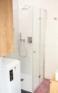une douche avec une porte vitrée dans une salle de bain dans l'établissement Apartment Amber, Kranjska Gora - Center, à Kranjska Gora 14 autres photos