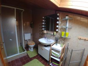 a bathroom with a sink and a shower and a toilet at Apartment Fam. Zappe in Steinhaus am Semmering