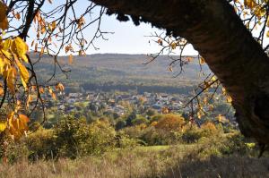 a view of a city from a tree at FEWO Geisbergblick in Zeegendorf