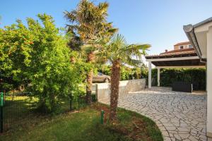 a palm tree in a yard next to a driveway at Cukon Holiday Home in Medulin