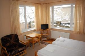- un salon avec un lit, une table et une fenêtre dans l'établissement Borova House, à Tryavna