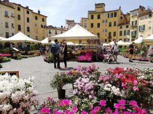 un gruppo di persone che camminano intorno a un mercato con i fiori di Gaia a Lucca