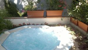 Zahrada ubytování Hotel Leuco'