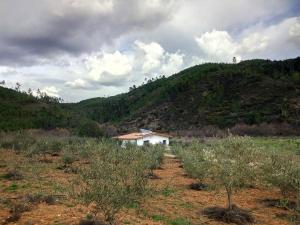 una piccola casa bianca in mezzo a un campo di REFÚGIO DO RAPOSO/CASA DA RIBEIRA (AGROTURISMO) a Proença-a-Nova Altre 3 foto