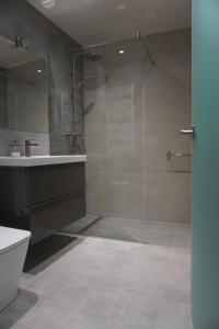 a bathroom with a shower and a sink and a toilet at Loft 7calles, Casco Viejo. Bio in Bilbao +22 photos