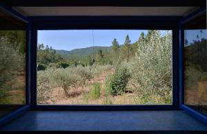 una finestra con vista su un campo di cespugli di REFÚGIO DO RAPOSO/CASA DA RIBEIRA (AGROTURISMO) a Proença-a-Nova