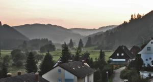 vista su un villaggio con montagne sullo sfondo di Urseetalblick a Lenzkirch