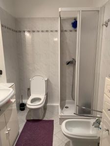 La salle de bains est pourvue de toilettes, d'une douche et d'un lavabo. dans l'établissement Hyper Centre Place Massena, à Nice