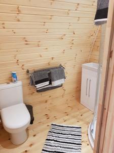 a bathroom with a toilet and a wooden wall at Log cabin in Kells