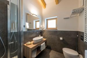 a bathroom with a sink and a toilet and a shower at Chalet Aster in Moena