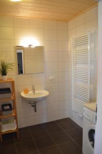 W łazience znajduje się umywalka i lustro. w obiekcie Altefähr w mieście Altefähr