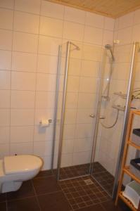 een badkamer met een douche, een toilet en een douche bij Altefähr in Altefähr