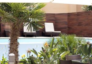 une piscine avec un bouquet de plantes et un palmier dans l'établissement Catalonia Portal de l'Angel, à Barcelone