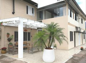 a house with a palm tree in front of it at Hotel Rizzi in Encantado