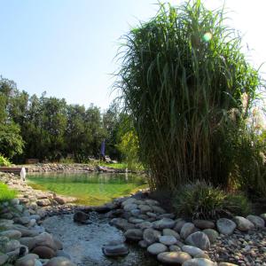 un étang avec de la pelouse et des rochers dans un jardin dans l'établissement Couleur Lavande, au Thor