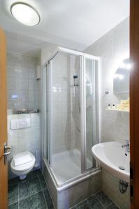 a bathroom with a shower and a toilet and a sink at Zum Handtuch in Bautzen
