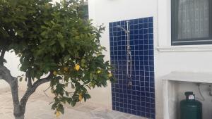 Kép Casa Polinisso szállásáról Carovignóban a galériában