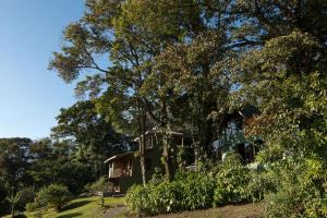 een huis op een heuvel met een boom bij Hotel Flor de Bromelia in Monteverde Costa Rica