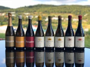 a group of wine bottles sitting next to each other at Cabecas do Reguengo in Portalegre