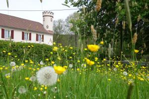 ein Feld gelber Blumen vor einem Leuchtturm in der Unterkunft Pension Kastanienhof in Zeulenroda