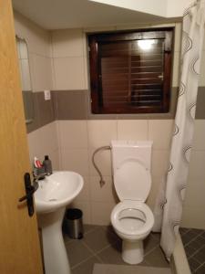 baño con aseo y lavabo y ventana en Apartments Popovic en Podgorica