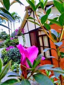 a pink flower in front of a house at Cabañas La Honda in Guatapé
