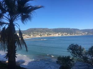 a view of a beach with a palm tree at Coeur de village in Bormes-les-Mimosas
