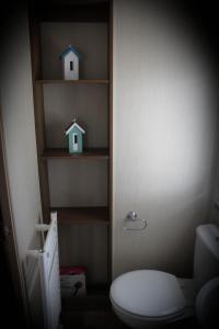 un bagno con servizi igienici e 2 piccole case su scaffali di 3 Bed Static Caravan @ Hoburne Devon Bay a Paignton Altre 9 foto