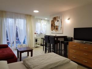 TV a/nebo společenská místnost v ubytování Apartment Metzingen City