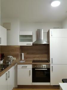 Kuchyň nebo kuchyňský kout v ubytování Apartment Metzingen City