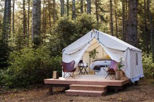 a tent with chairs on a wooden deck in the woods at Mendocino Grove in Mendocino