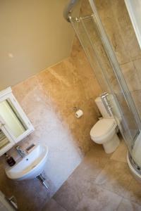 a bathroom with a toilet and a sink and a shower at Shippon Cottage - Brosterfield Farm in Eyam
