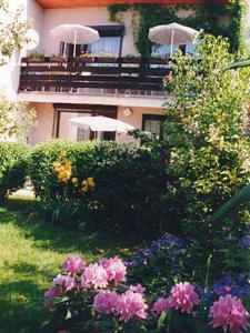 Gallery image of Pension Villa Hany in Mariánské Lázně