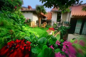 a garden with red flowers and a house at Green Oasis Family Apartments in Piran