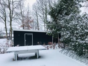 a bench sitting in the snow next to a tree at B&B "de Wingerd" in Bruchterveld