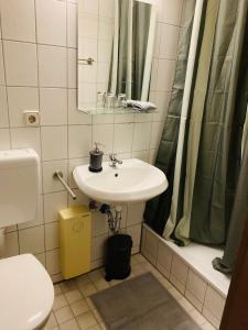 een badkamer met een wastafel, een toilet en een douche bij White Pearl Hostel 1 in Neurenberg