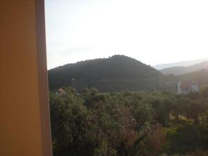 Gallery image of Mpletsa Kalliopi Rooms in Velika