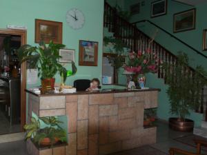 une femme assise au comptoir dans une pièce avec des plantes dans l'établissement Hotel Vecchia Rimini, à Lido degli Estensi