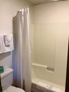 Sea-Tac Airport Value Inn tesisinde bir banyo