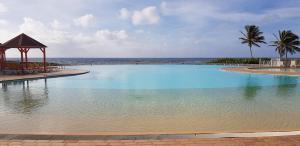 una gran piscina con cenador junto al océano en L'oiseau du Paradis vue mer Studio a Saint Francois a 100 m de la plage en Saint-François