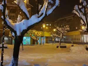 a snow covered tree in a city at night at Dream Studio 2 Petrosani in Petroşani