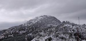 Gallery image of Woodsmoke Retreat in Shimla