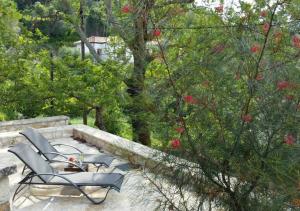 A garden outside Villa Gerasimoula