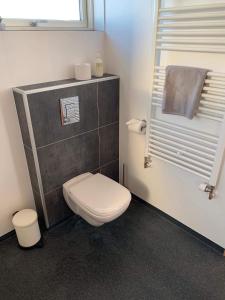 a bathroom with a white toilet and a window at Blue View Cabin 7A With private hot tub in Reykholt