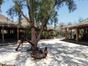 Gallery image of Hôtel Safari Vezo Anakao in Anakao