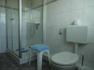 een badkamer met een douche, een toilet en een kruk bij Ferienwohnung Landidyll in Hameln